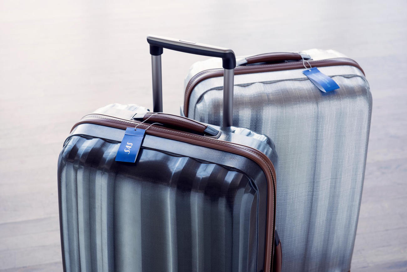 two bags at the airport